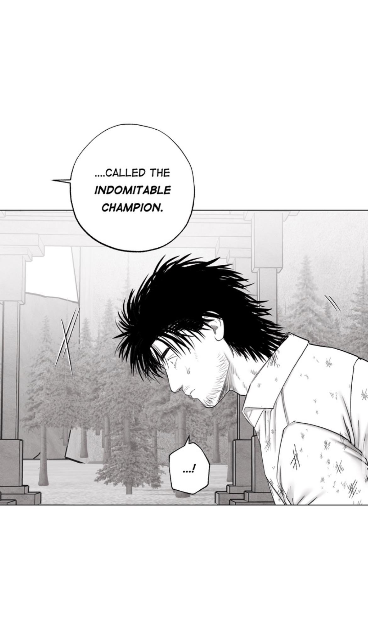 Indomitable Champion Chapter 45 - Page 51 in English
