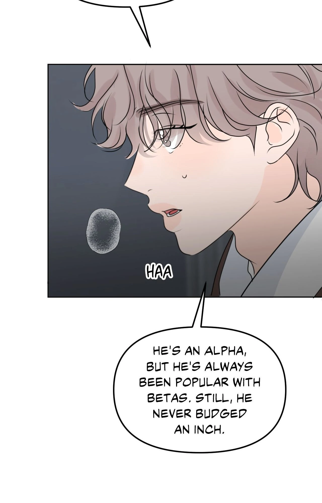 The Boundary of Fragrance Chapter 49 - Page 15 in English