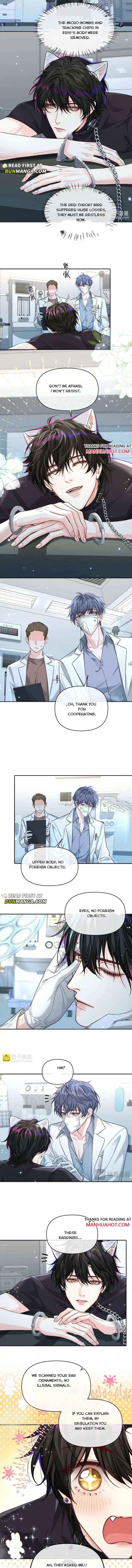 The Falling Merman Chapter 176 - Page 6 in English