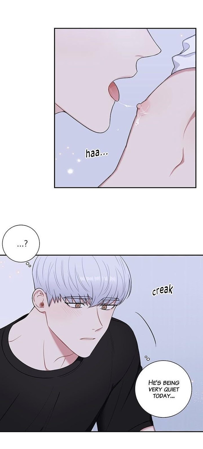 Cherry Blossoms After Winter Chapter 111 - Page 17 in English