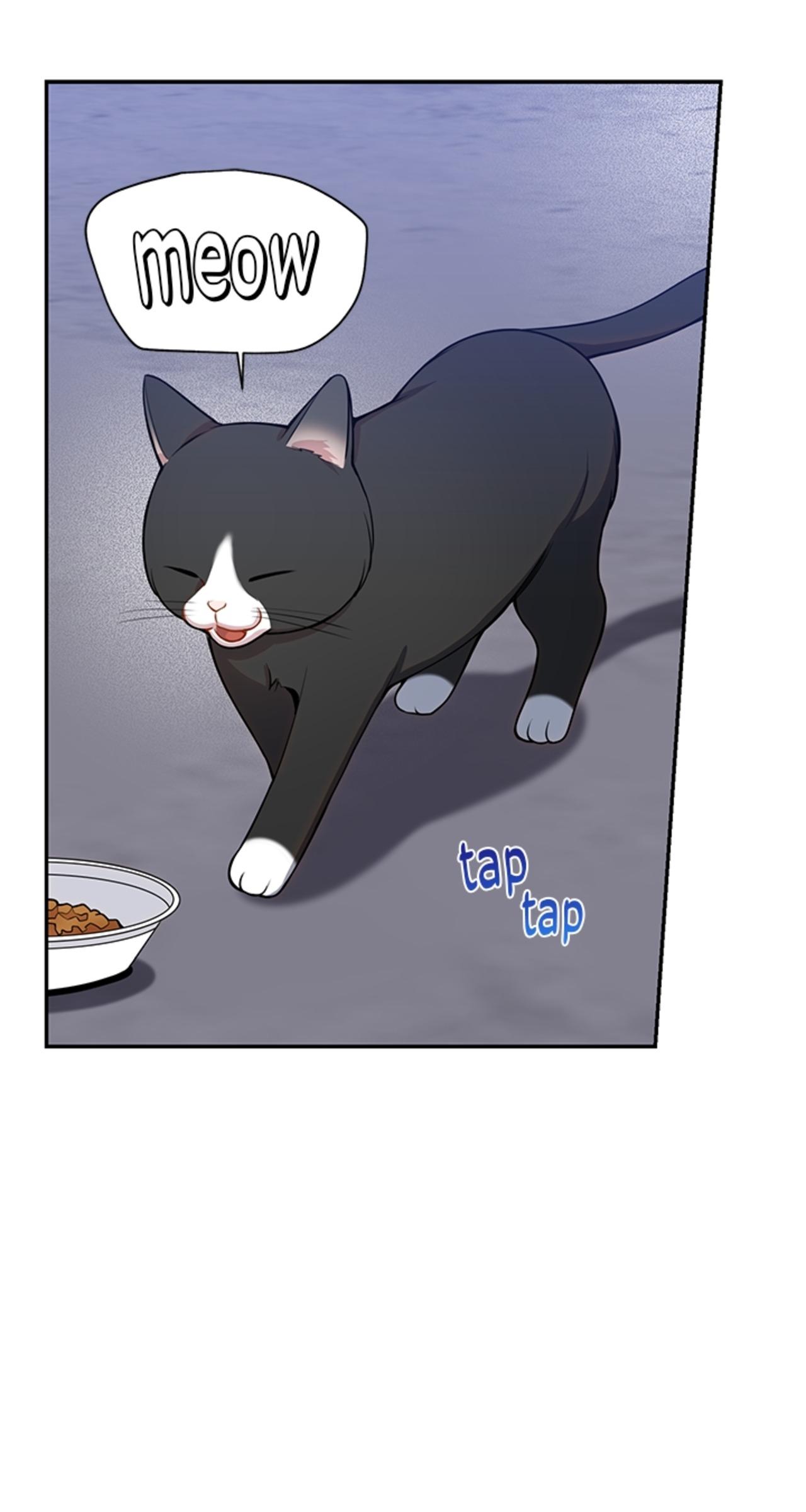 Cherry Blossoms After Winter Chapter 152 - Page 37 in English