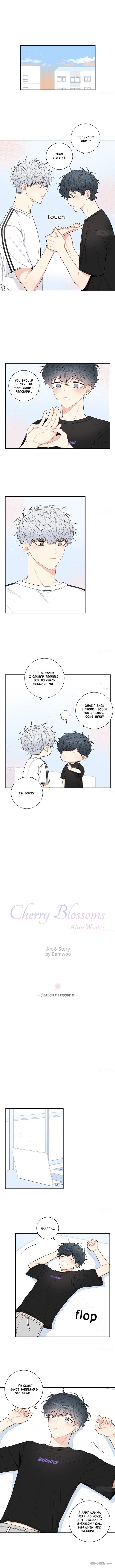 Cherry Blossoms After Winter Chapter 77 - Page 4 in English