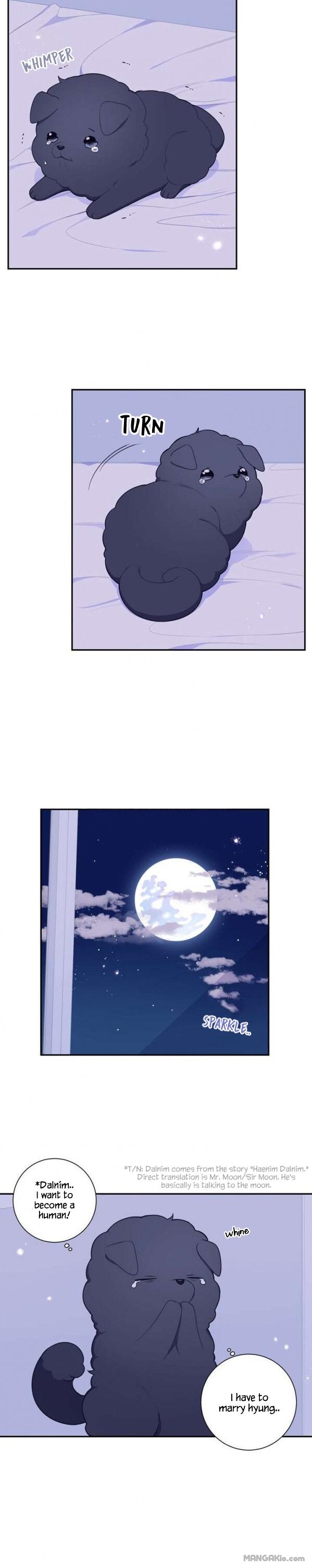 Cherry Blossoms After Winter Chapter 92 - Page 14 in English