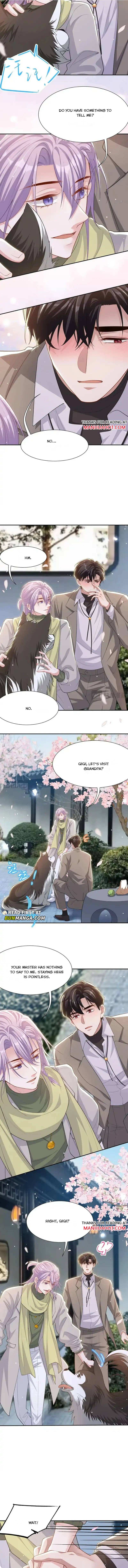 I’m A Stand-in Puppet For His Ex-Lover Chapter 233 - Page 5 in English