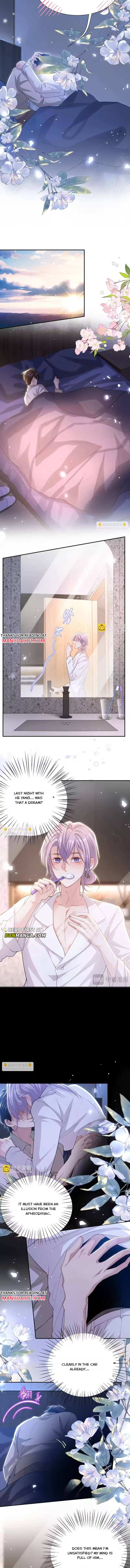 I’m A Stand-in Puppet For His Ex-Lover Chapter 244 - Page 4 in English