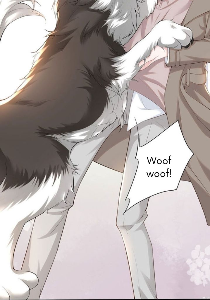 I’m A Stand-in Puppet For His Ex-Lover Chapter 3 - Page 18 in English