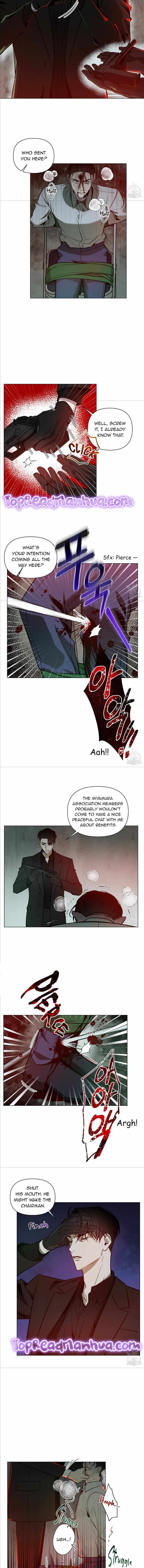 The Dawn Split The Night | ilovecheetos Chapter 14 - Page 9 in English