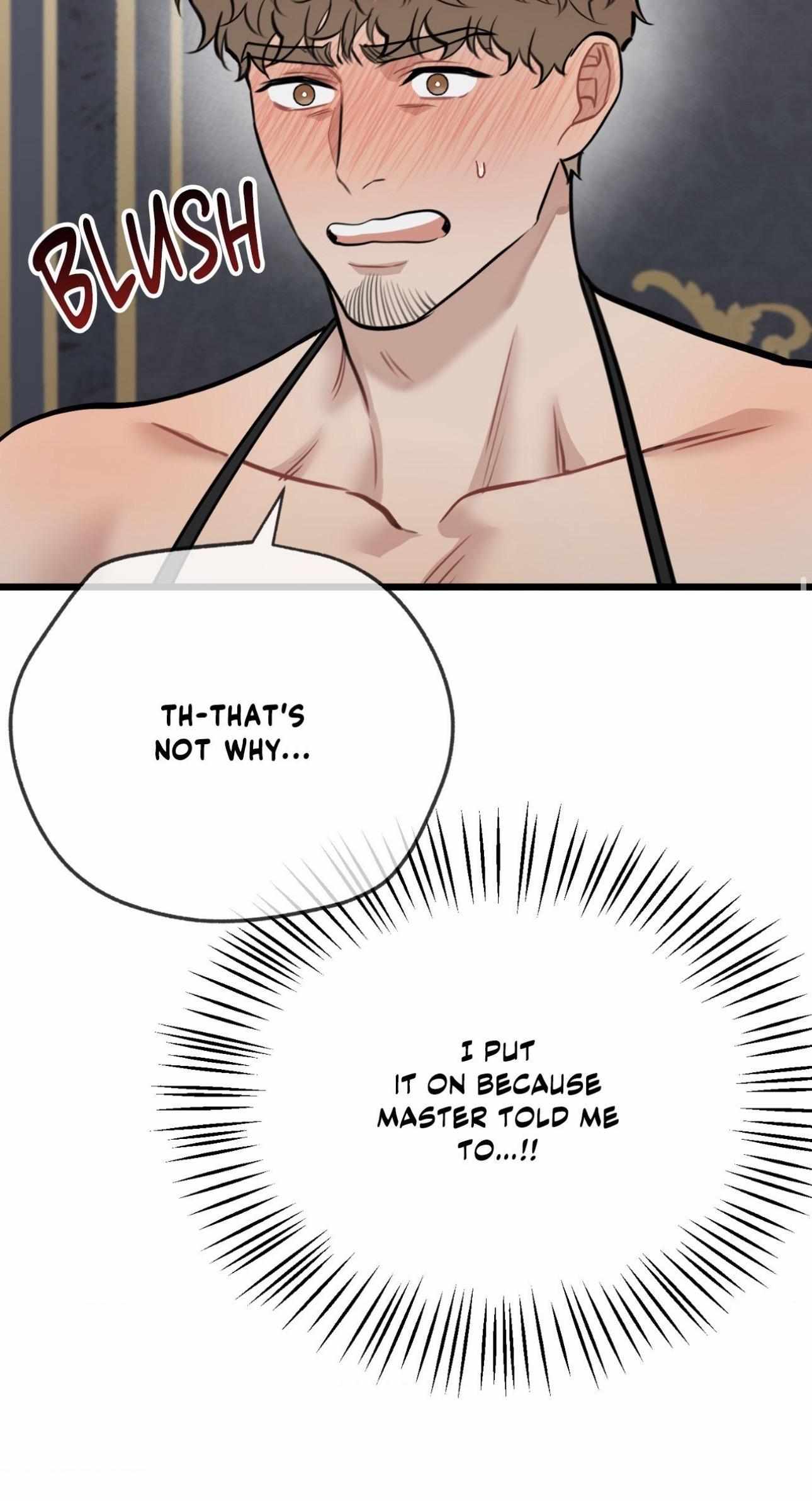 A Basic Guidebook to BDSM Chapter 30 - Page 30 in English