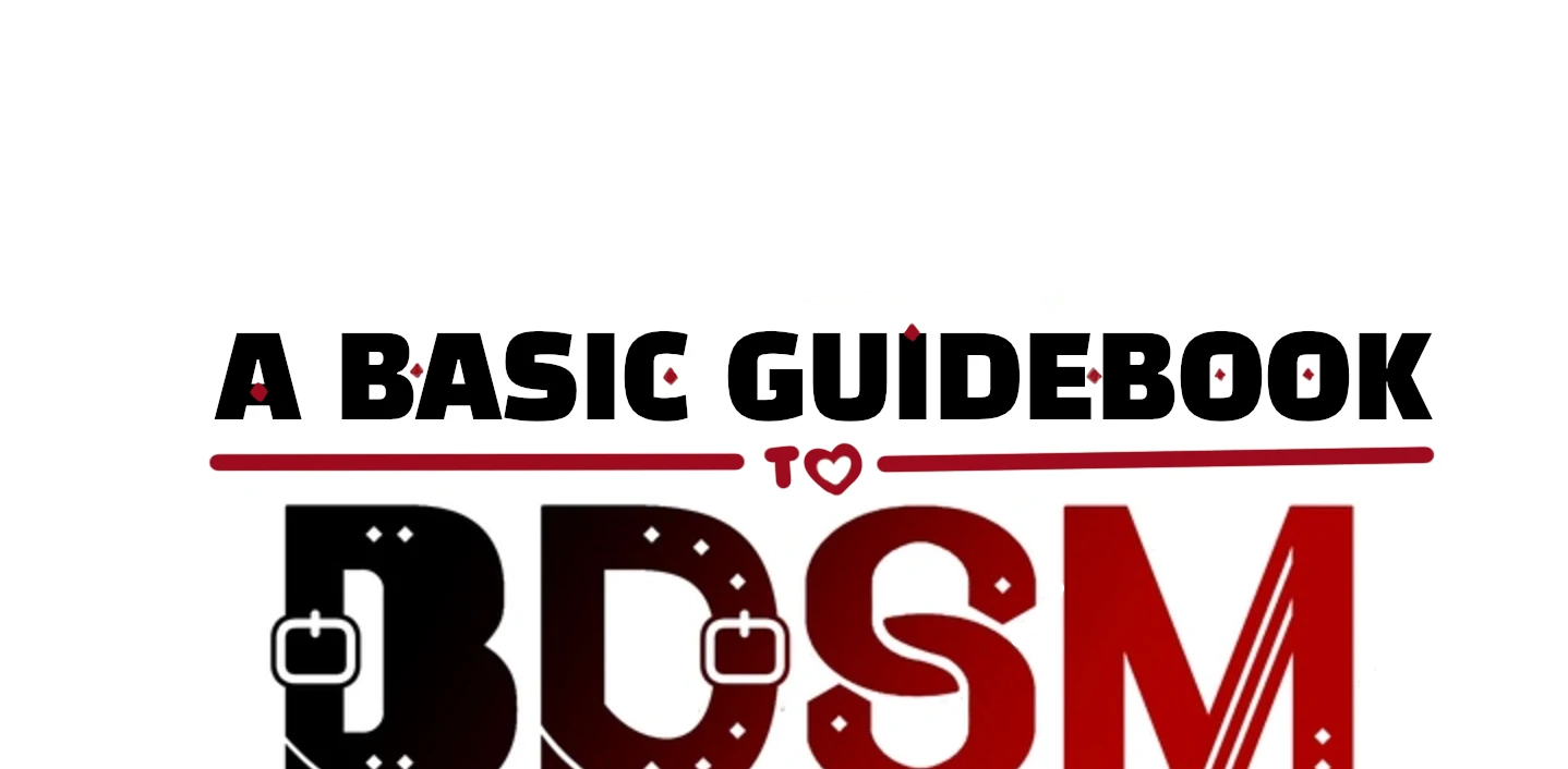 A Basic Guidebook to BDSM Chapter 5 - Page 13 in English