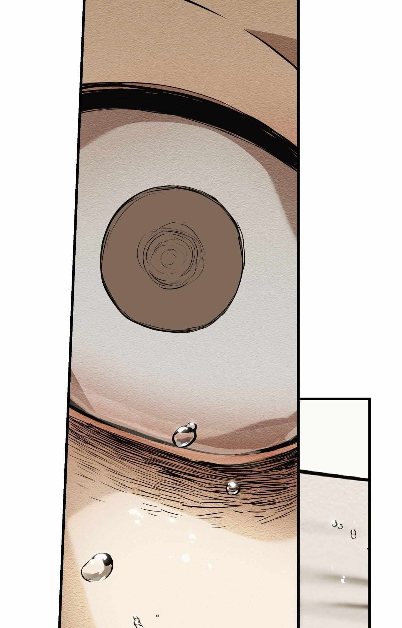 The Heart of the Lotus Chapter 41 - Page 29 in English