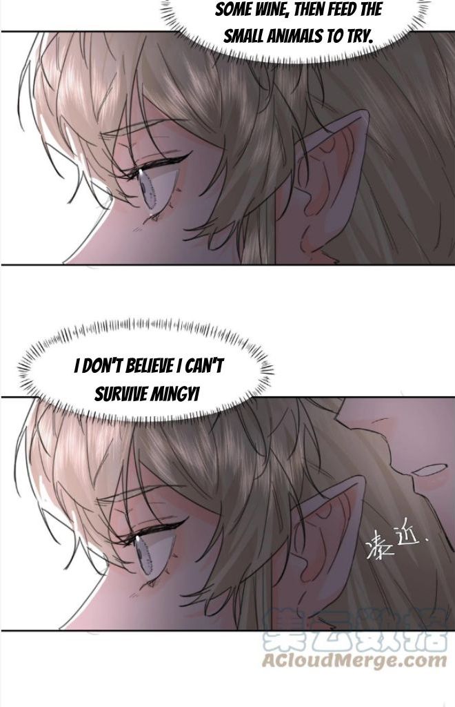 The Ex Is My King Chapter 17 - Page 33 in English