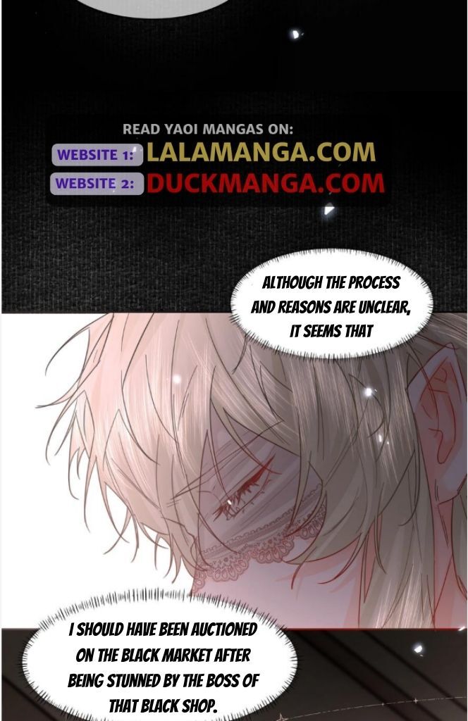 The Ex Is My King Chapter 23 - Page 19 in English