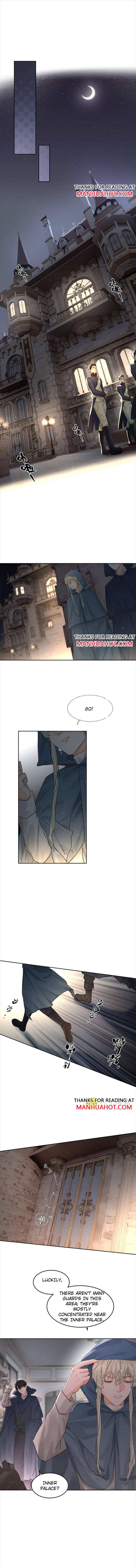 The Ex Is My King Chapter 38 - Page 3 in English
