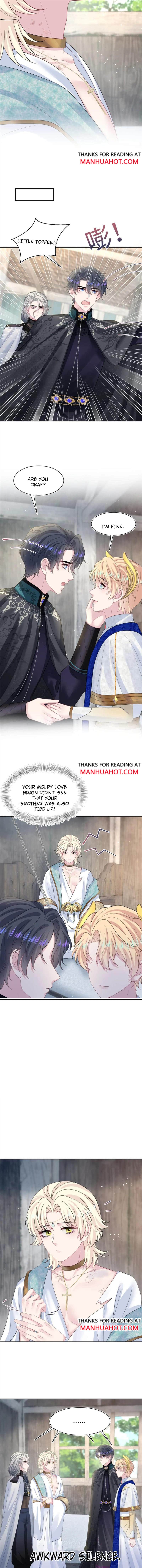 Seize My Boyfriend Chapter 242 - Page 5 in English