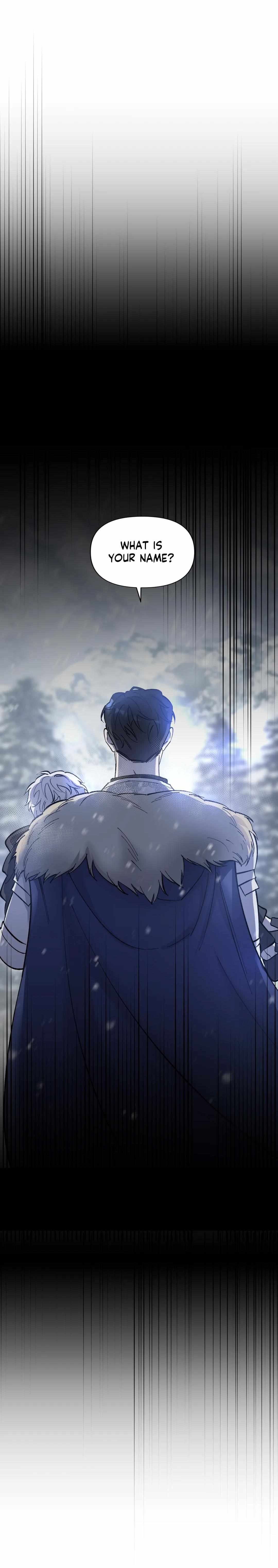 Flower of the Sun Chapter 31 - Page 43 in English