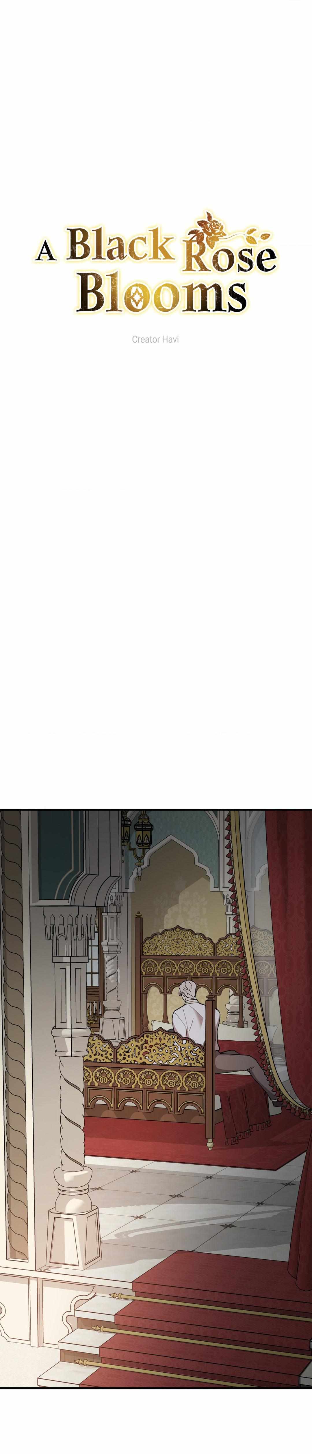 Flower of the Sun Chapter 64 - Page 3 in English