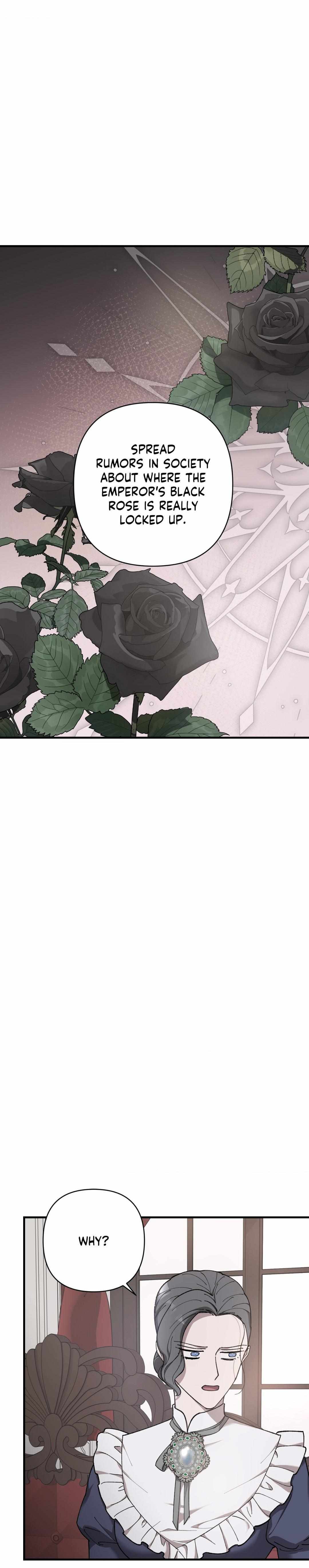 Flower of the Sun Chapter 73 - Page 11 in English