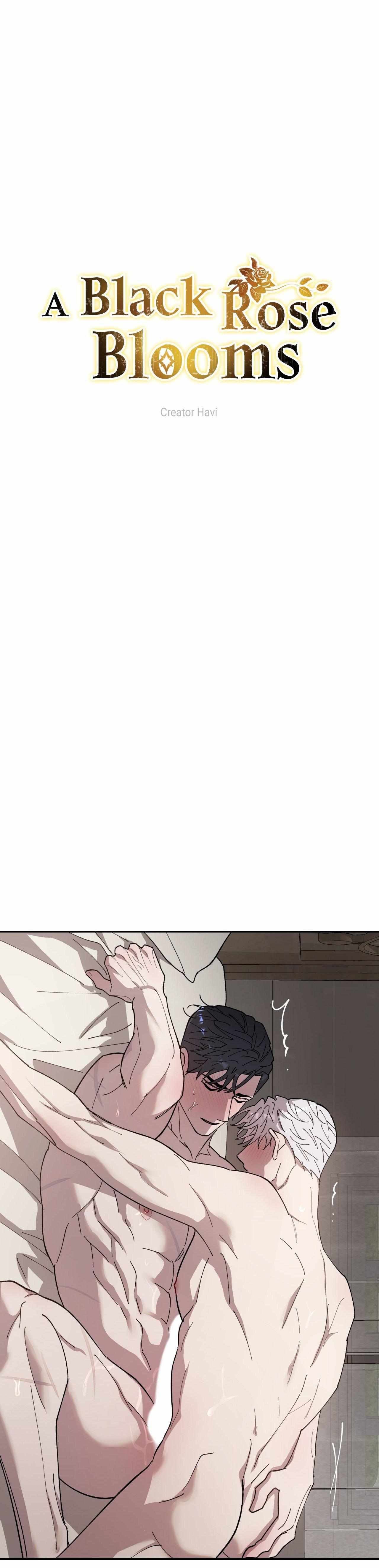 Flower of the Sun Chapter 99 - Page 3 in English