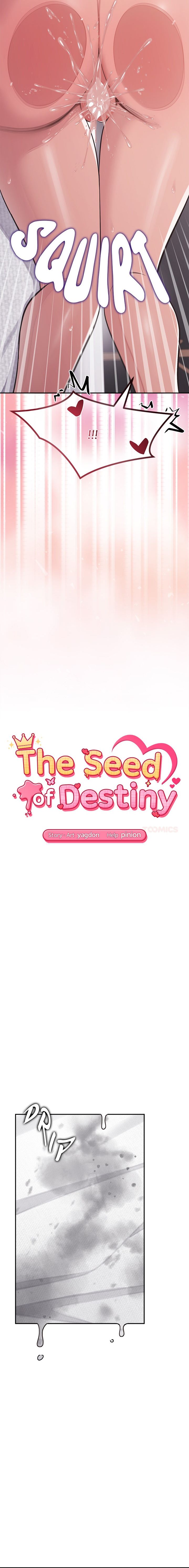 The Seed of Destiny Chapter 16 - Page 3 in English