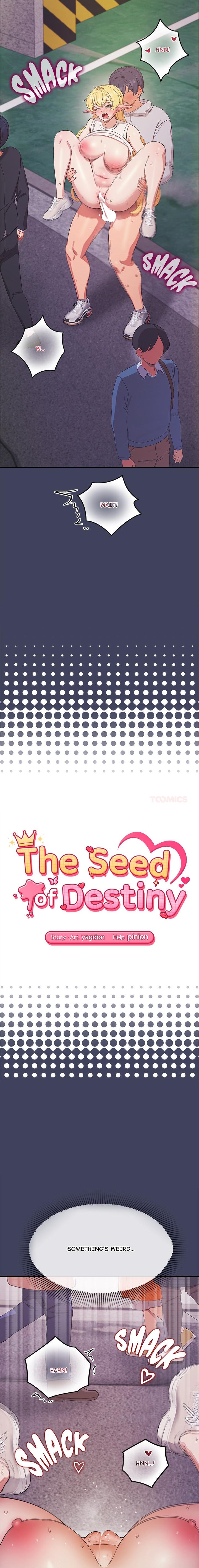 The Seed of Destiny Chapter 21 - Page 3 in English