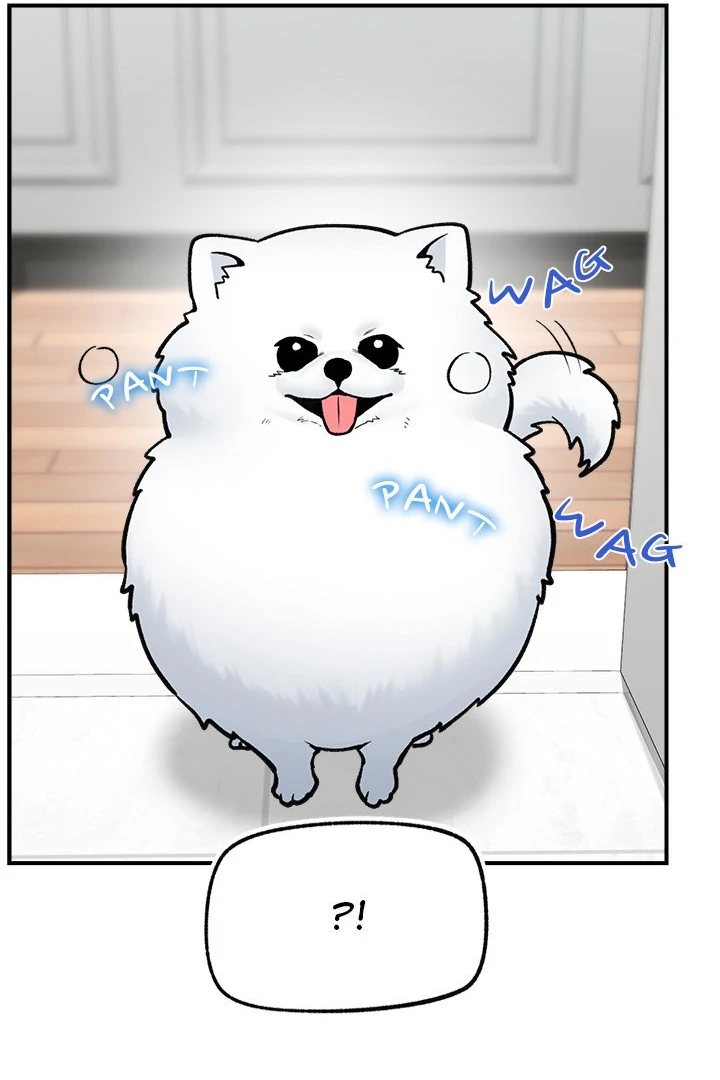 Hypnotist Security Guard Chapter 26 - Page 51 in English
